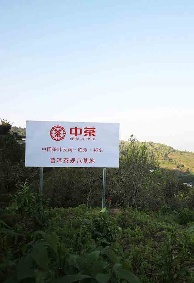 2023中国茶品牌建设论坛