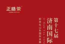 茗聚泉城，茶香天下丨2023年正皓茶全国茶博会巡展第一站