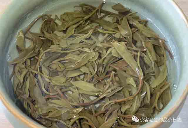 翡翠与茶2023年庙山古树单株头春普洱茶