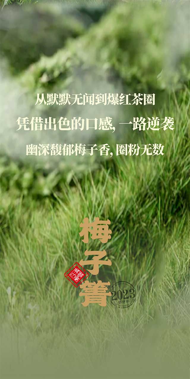 勐库戎氏2023梅子箐普洱茶品质特点