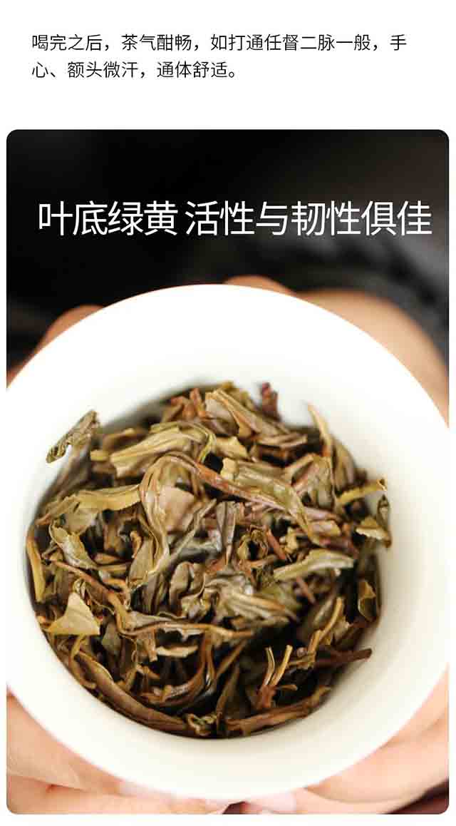 荣瑞祥2020年易武香椿林普洱茶