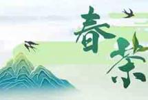 【春茶中国行⑨】湖南长沙县的“只此青绿”，值得打卡！