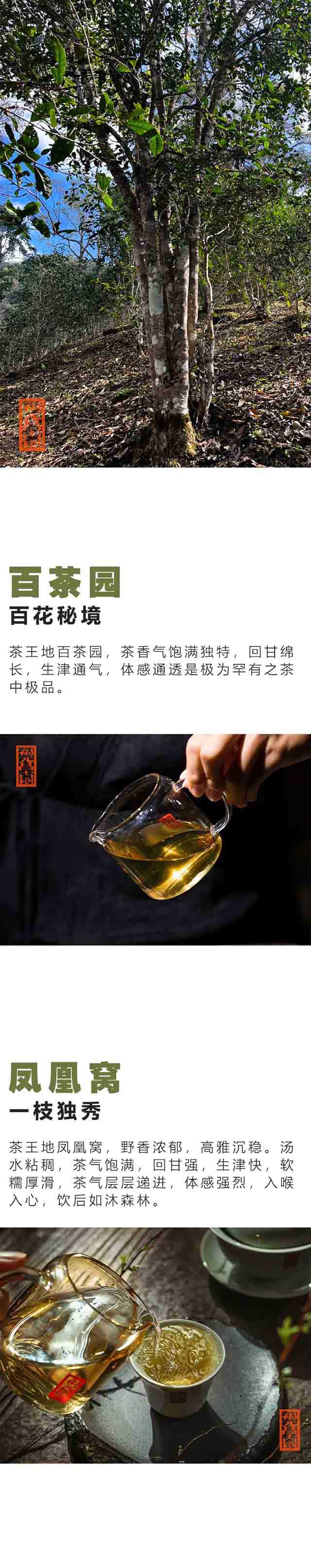 福元昌古树普洱茶茶王地