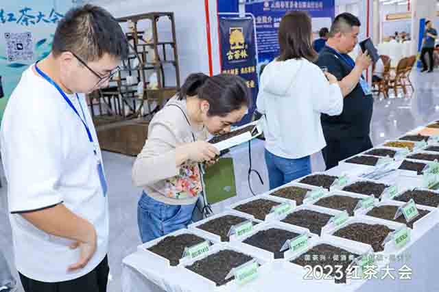 2023天下茶尊红茶之都红茶大会