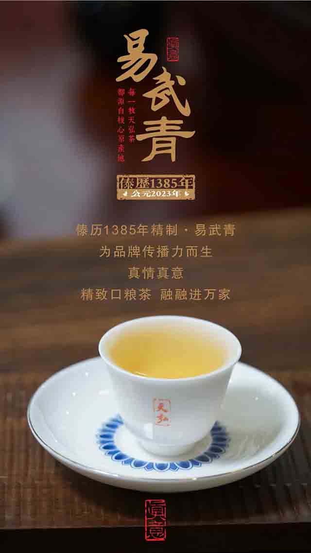 天弘2023年易武青普洱茶