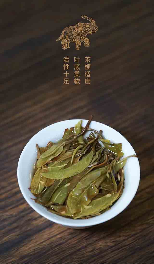 天弘2023年易武青普洱茶