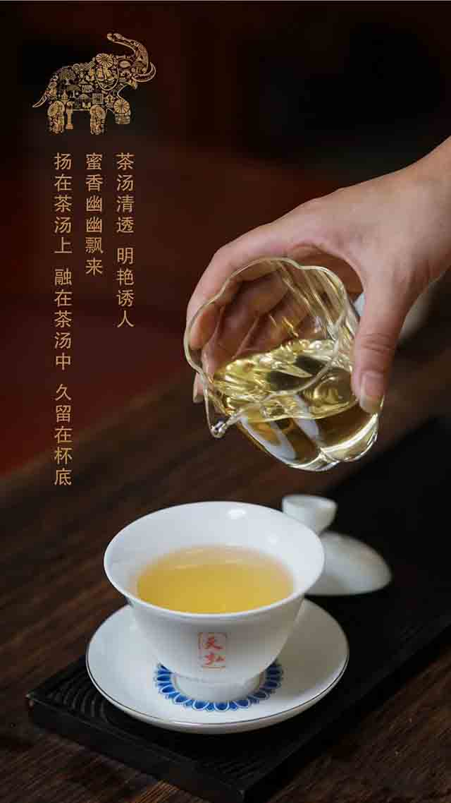 天弘2023年易武青普洱茶