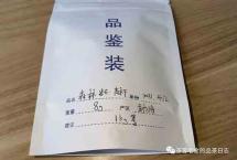 赏春——2023年森林岩石高杆（吾茶共饮）