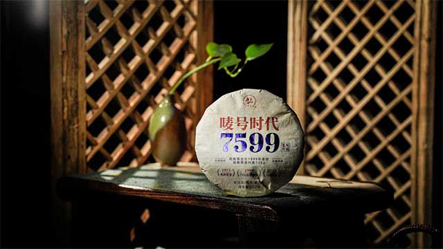 六大茶山2023年唛号时代7599普洱茶品质特点