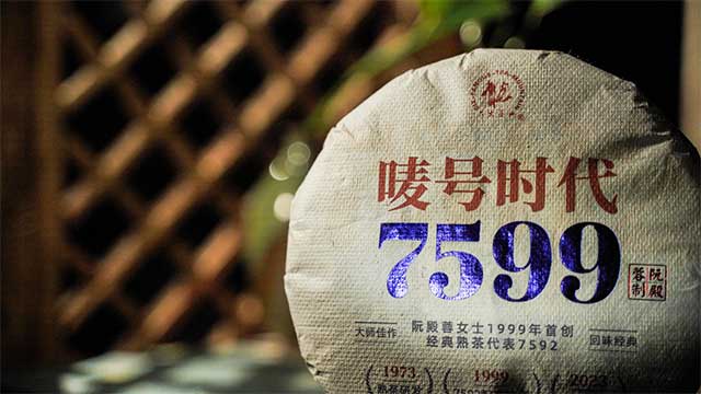 六大茶山2023年唛号时代7599普洱茶品质特点