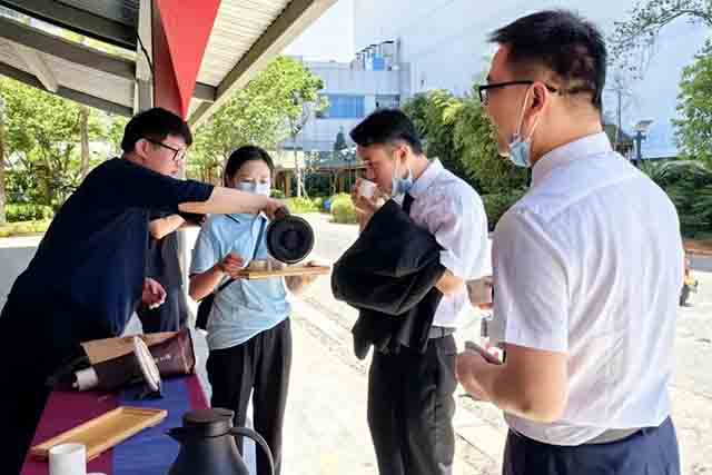 大益茶521国际茶日