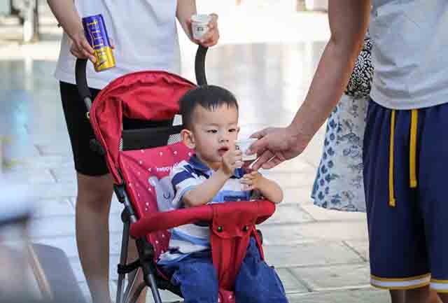 大益茶521国际茶日