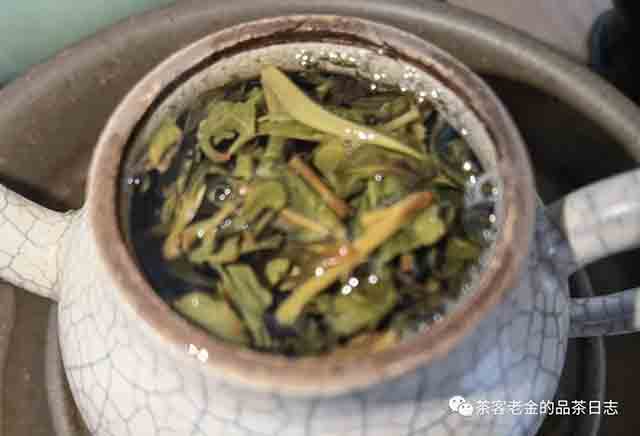 茶者无喧2023年倚邦有林M普洱茶