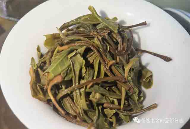 栩月古茶2023年麻黑三棵树普洱茶