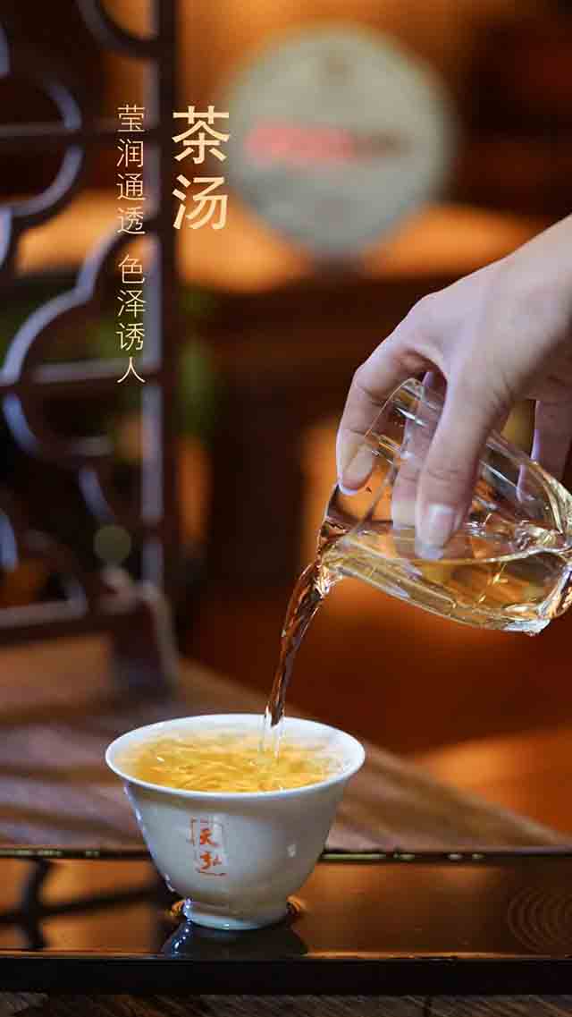 天弘2023版百年老班章普洱茶