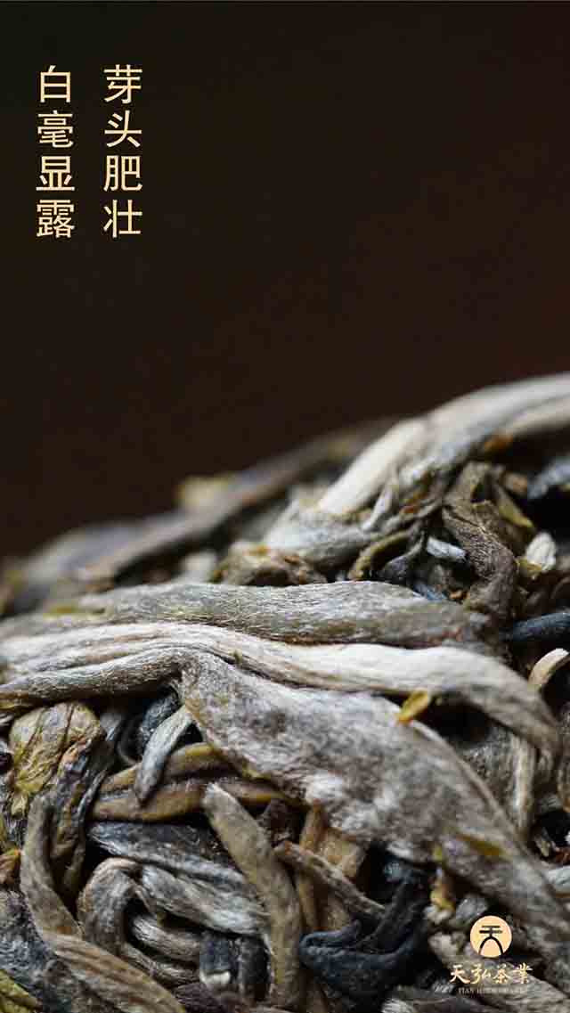 天弘2023版百年老班章普洱茶