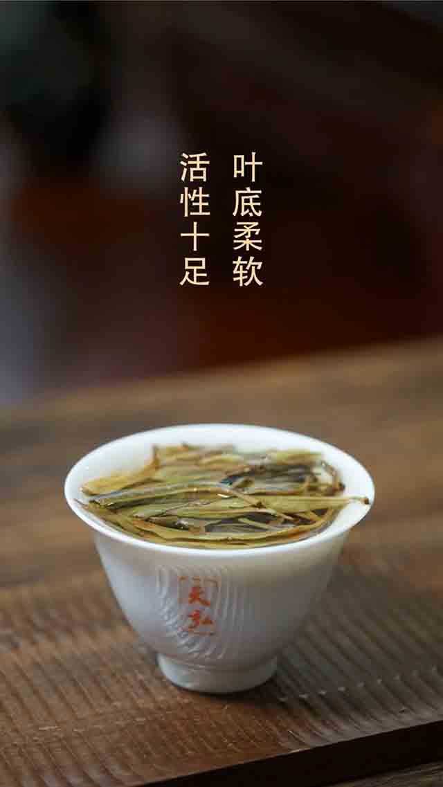 天弘2023版百年老班章普洱茶