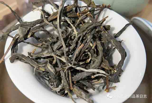 吾茶共饮2023年白茶园高杆挑采七棵普洱茶