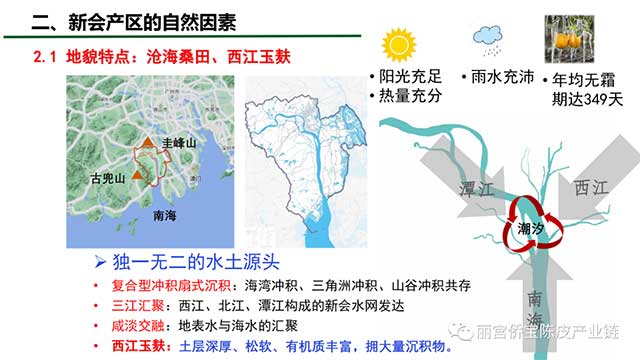 新会陈皮地道性的相关因素