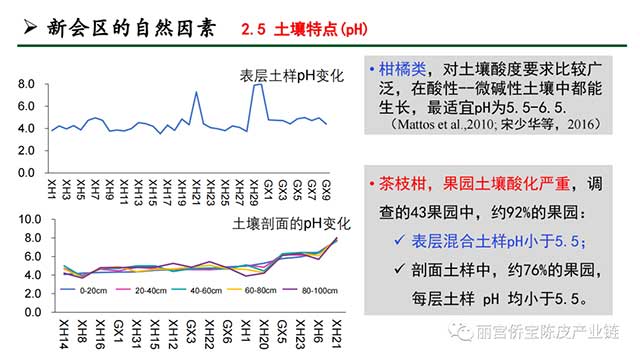 新会陈皮地道性的相关因素