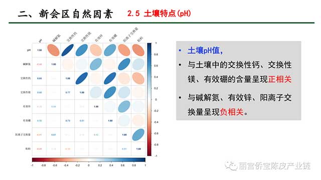 新会陈皮地道性的相关因素