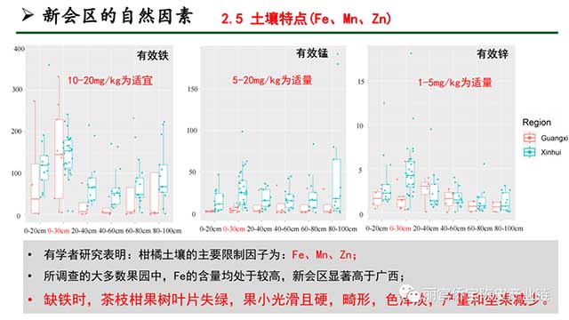 新会陈皮地道性的相关因素