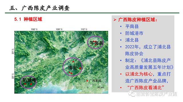 新会陈皮地道性的相关因素