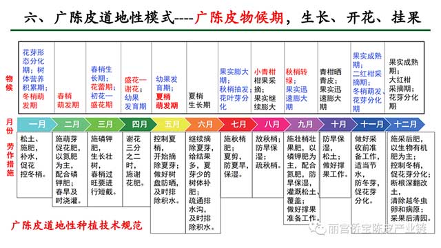 新会陈皮地道性的相关因素