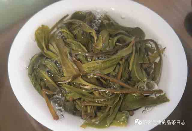 困鹿山制茶人昔归忙麓山1号单株普洱茶