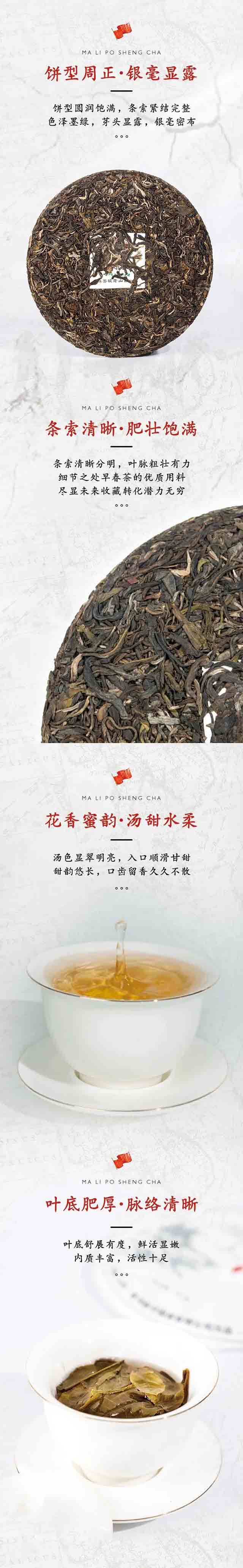 新华国茶麻栗坡老山古树茶