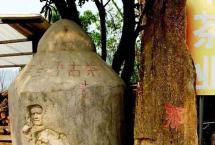 那卡茶有什么特点？为什么茶圈称之为“小班章”？