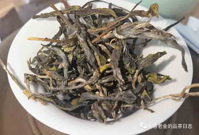 栩月古茶2023年易武泰极普洱茶