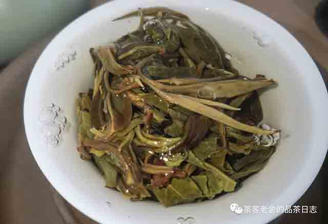 栩月古茶2023年易武泰极普洱茶