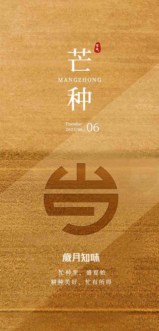 岁月知味昔归金娜罕普洱茶