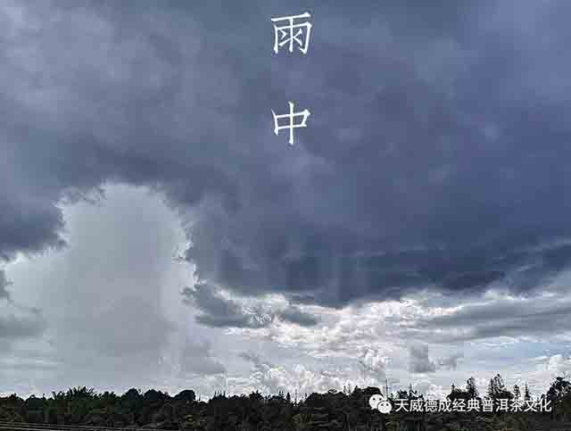 石昆牧经典茶文化