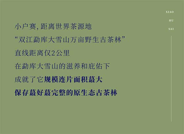 勐库戎氏2023小户赛普洱茶品质特点