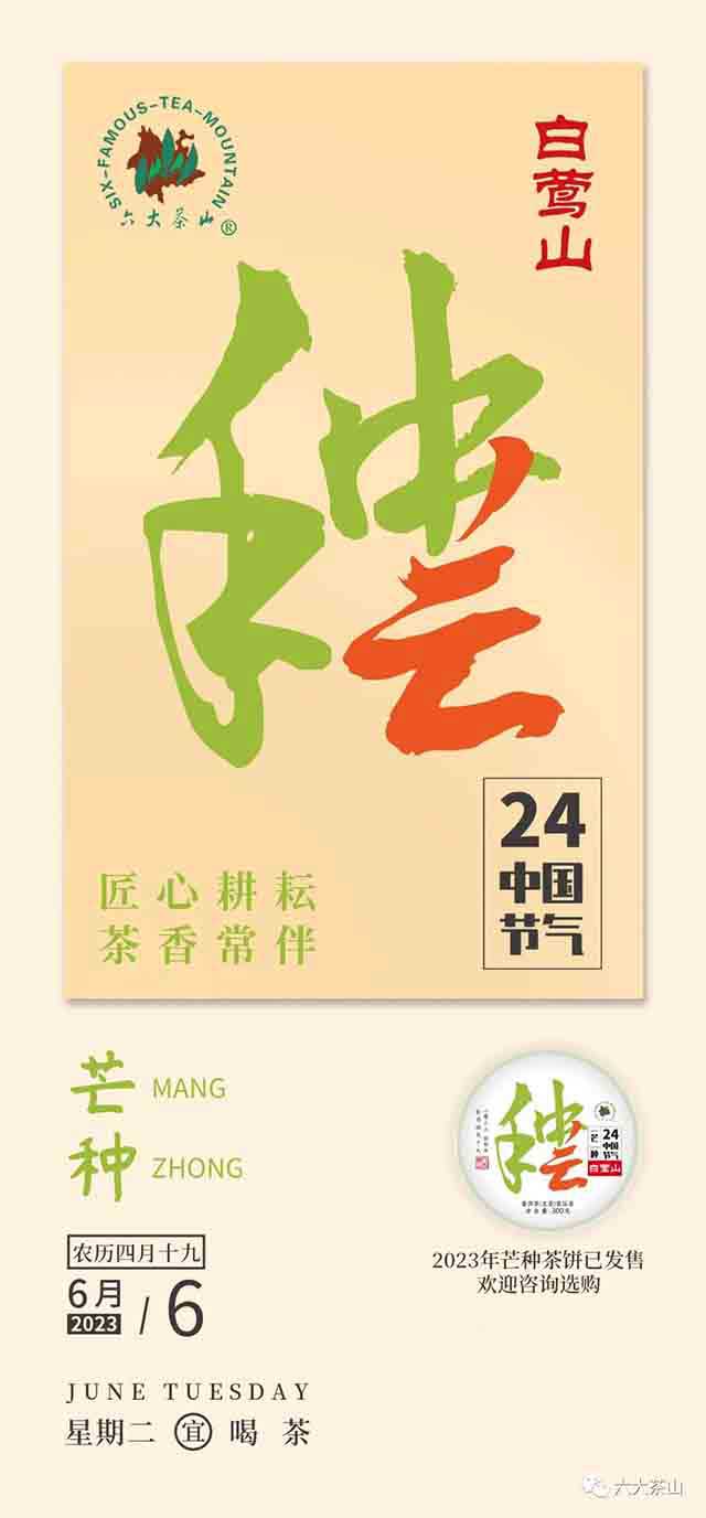 六大茶山节令生茶芒种普洱茶品质特点