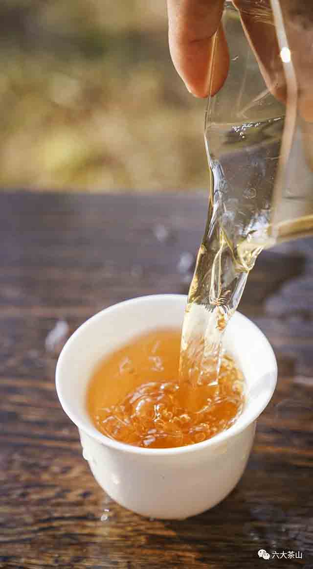 六大茶山节令生茶芒种普洱茶品质特点