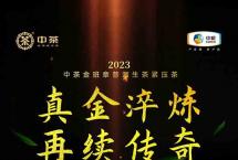 2023中茶金班章，真金淬炼，再续传奇