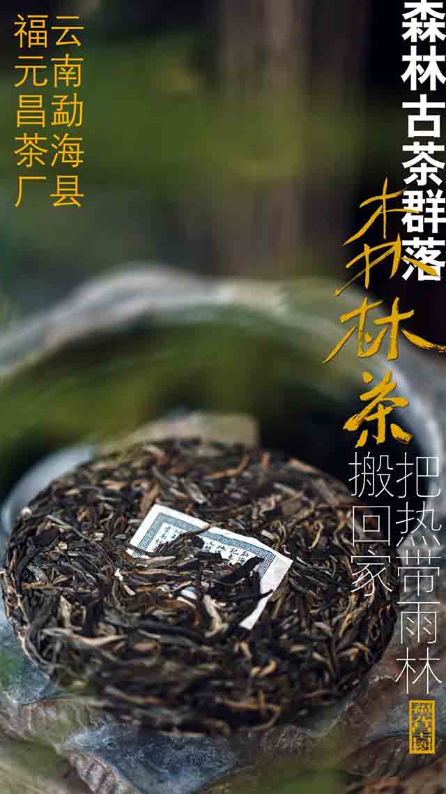 福元昌回甘岭森林古树普洱茶品质特点