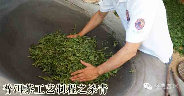  天威德成经典普洱茶文化