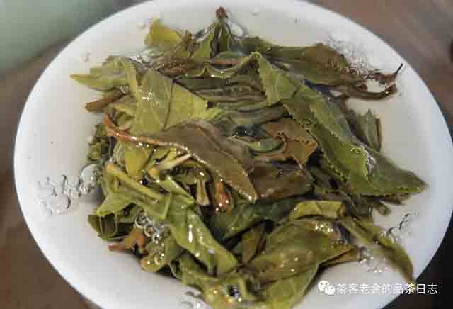 公主茶铺2023年春风十里藤条古树茶普洱茶