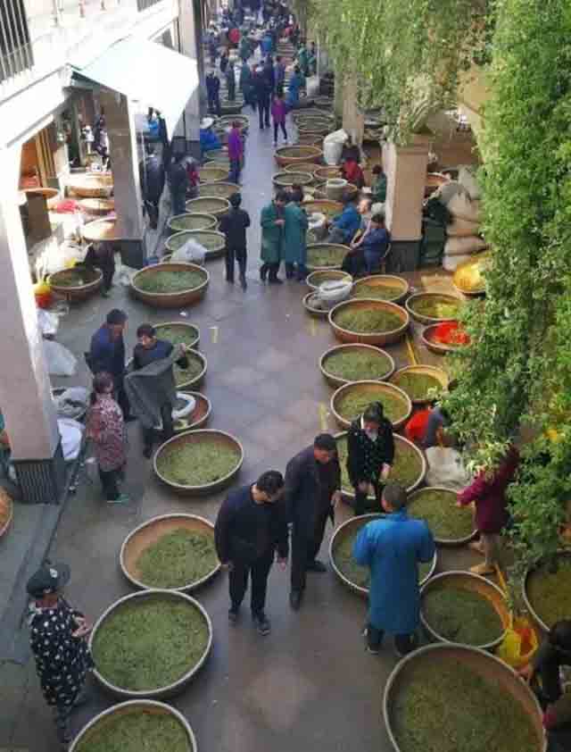 热闹非凡的中国茶市