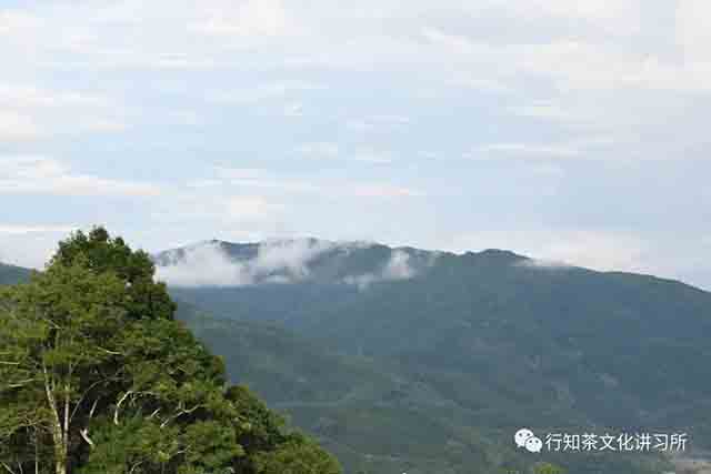 莽枝茶山曼丫行纪