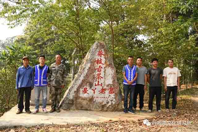 莽枝茶山曼丫行纪