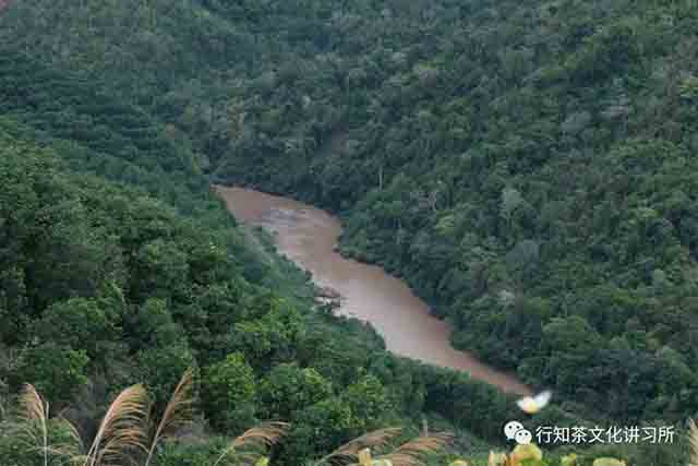 莽枝茶山曼丫行纪