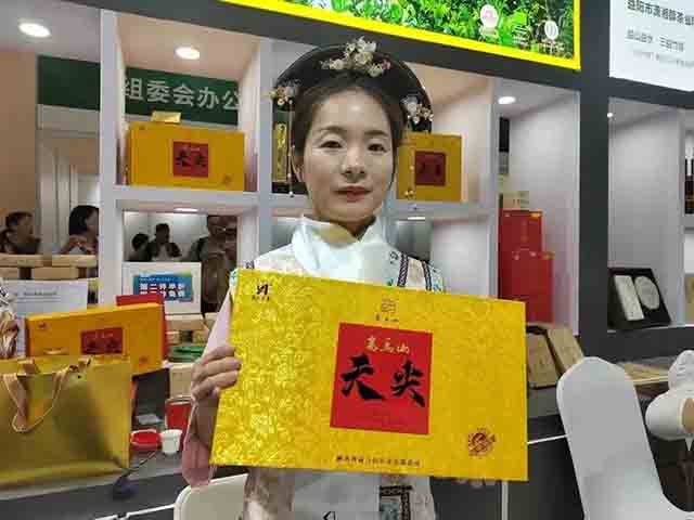 高端天尖茶新产品高马天尖发布