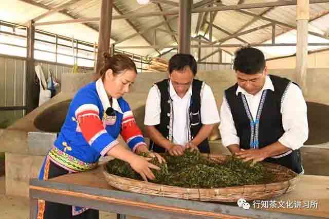 莽枝茶山红土坡行纪