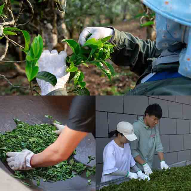 你好老同志同名产品