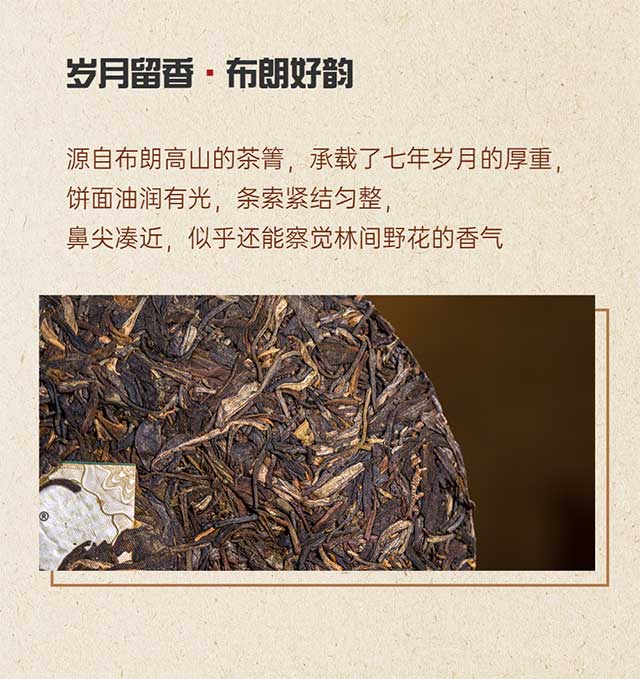 润元昌布朗好韵普洱茶品质特点